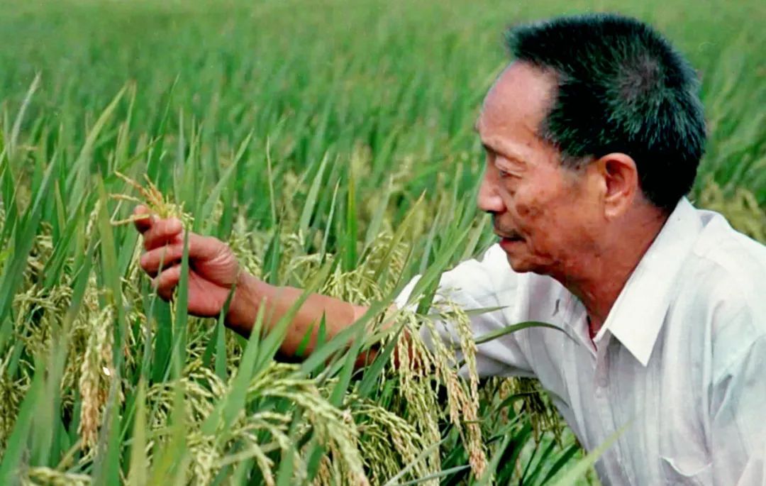 “从泥土里来，到白云中去”