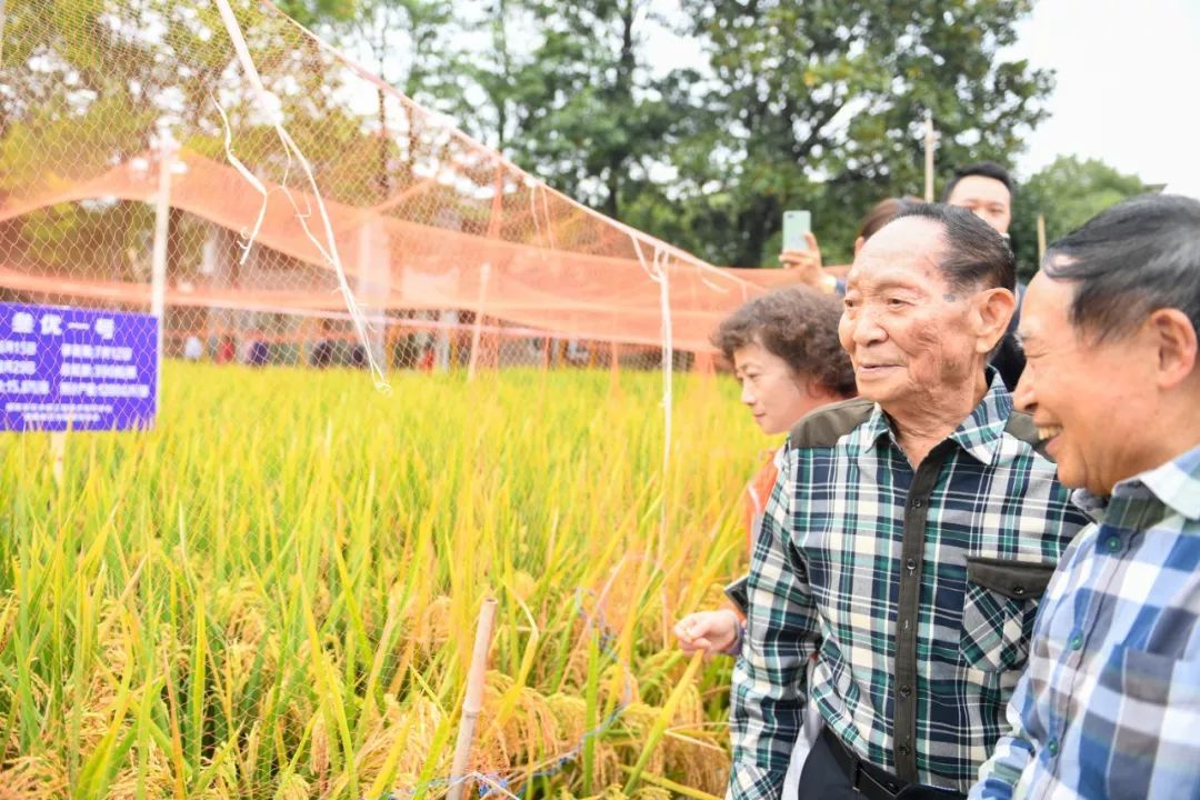 “从泥土里来，到白云中去”